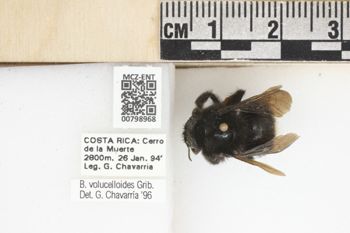 Media type: image;   Entomology 798968 Aspect: labels